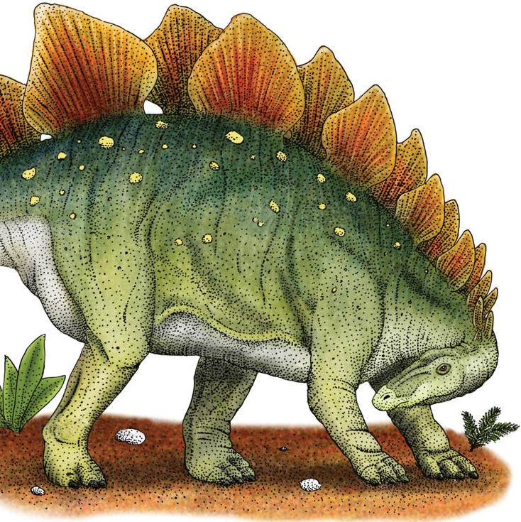 stegosaurus-drawing